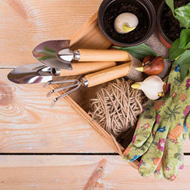 Garden Accessories