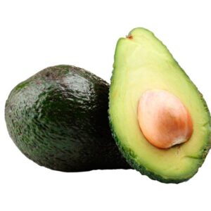 Avocado Plant
