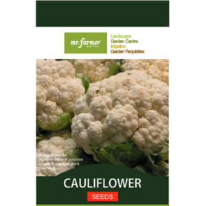 Cauliflower Seeds
