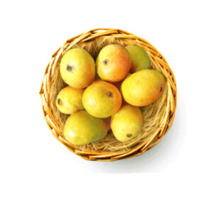 Mango Mankurad Plant