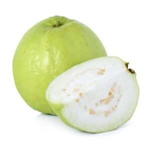 Guava Alahabad Plant