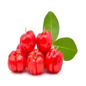 Cherry West Indian Plant