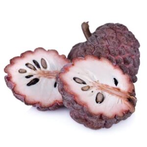 Custard Apple Red Plant