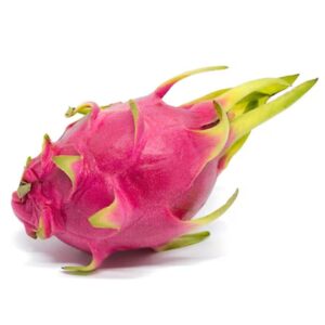 Dragon Fruit Plant