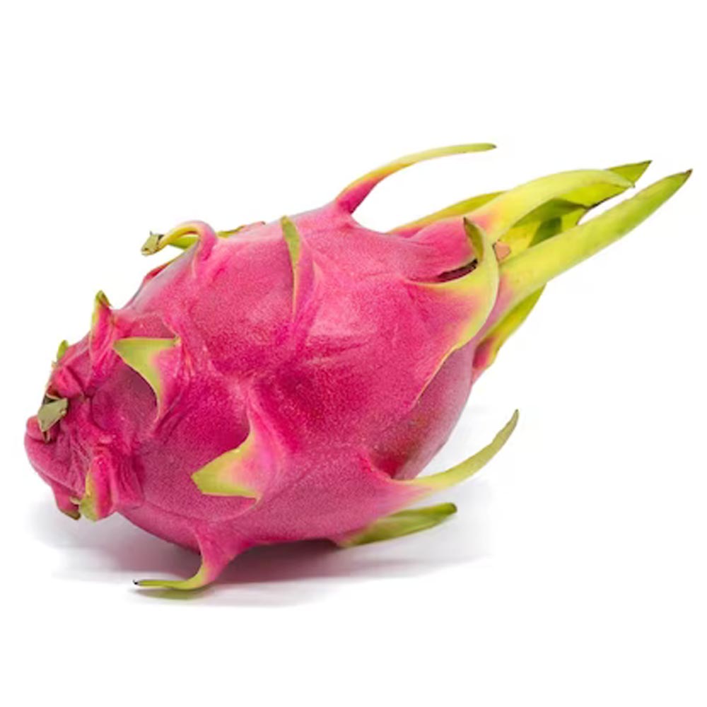 mrfarmer-dragon fruit