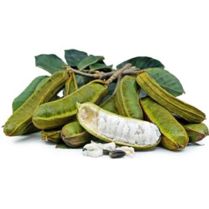 Ice Cream Beans Plant