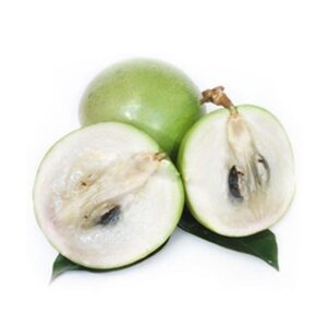 Milk Fruit Plant
