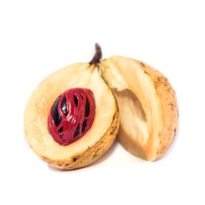 Nutmeg Plant