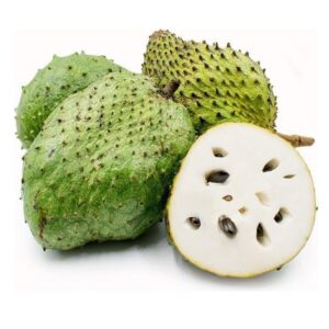 Soursop Plant (Grafted)