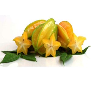 Starfruit Plant Grafted (Sweet)