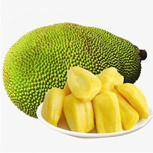 Jackfruit Thailand Plant