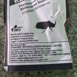 Rhinocerrous Beetle Bait