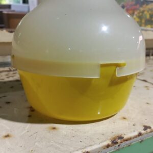 Fruit Fly Trap