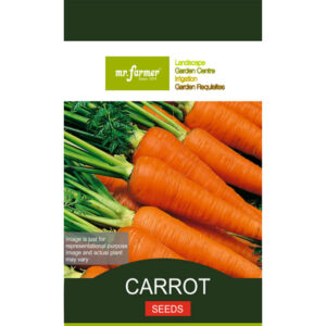Carrot Seeds