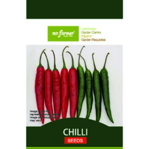 Chilli seeds