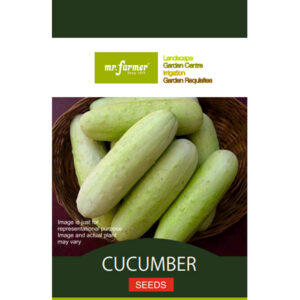 Cucumber seeds