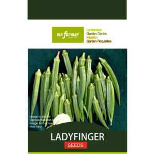 Lady Finger seeds