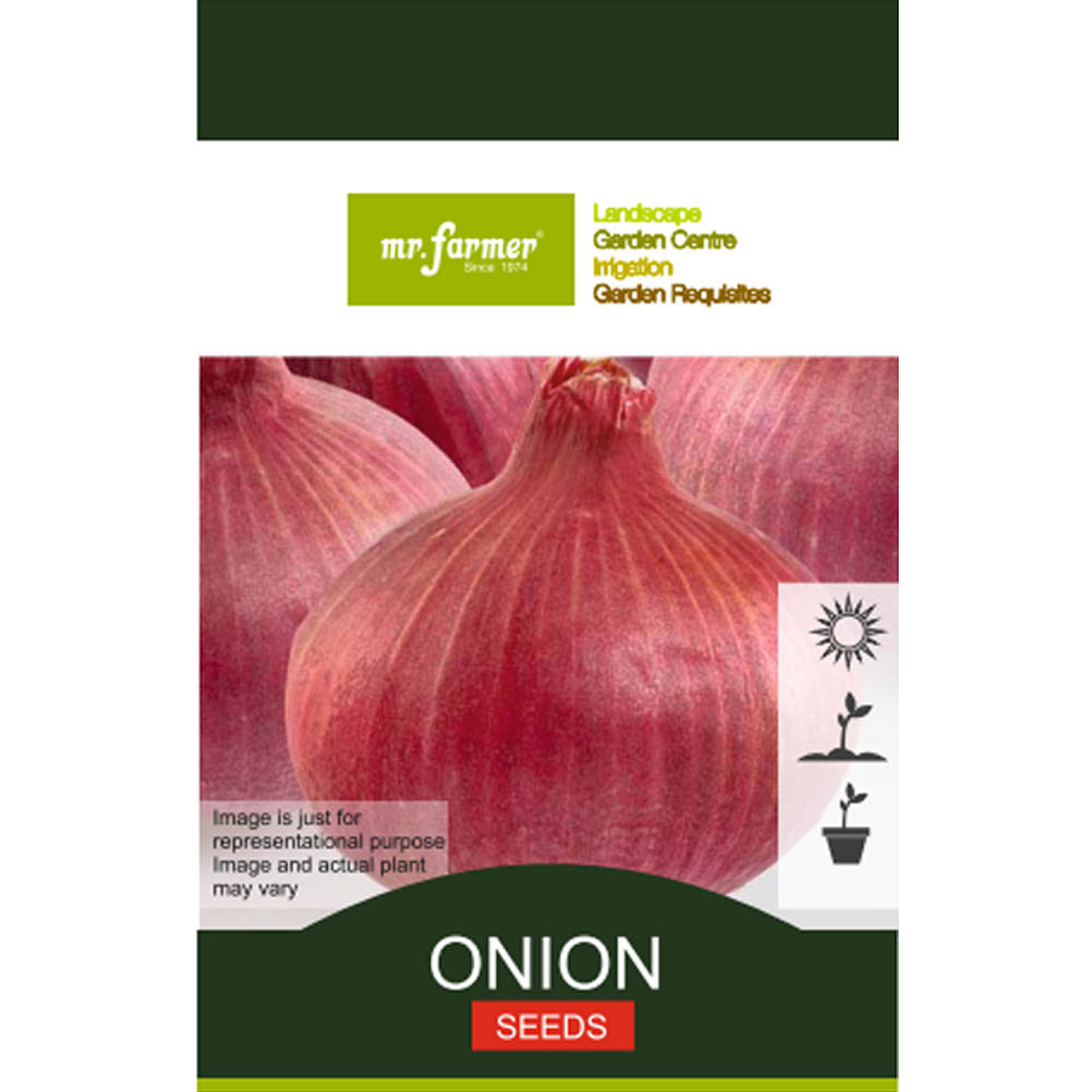 onion