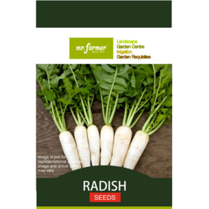 Radish seeds