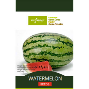 Watermelon seeds