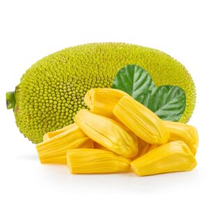Jackfruit Gumless Plant