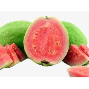 Guava Thailand Red Plant