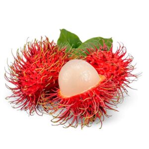Rambuttan Plant