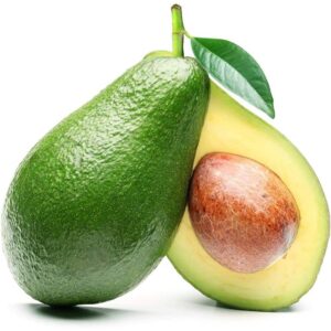 Avocado Local 1 Plant