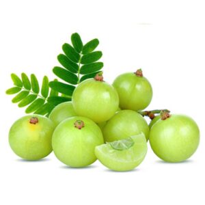Amla Ari Nelli Plant