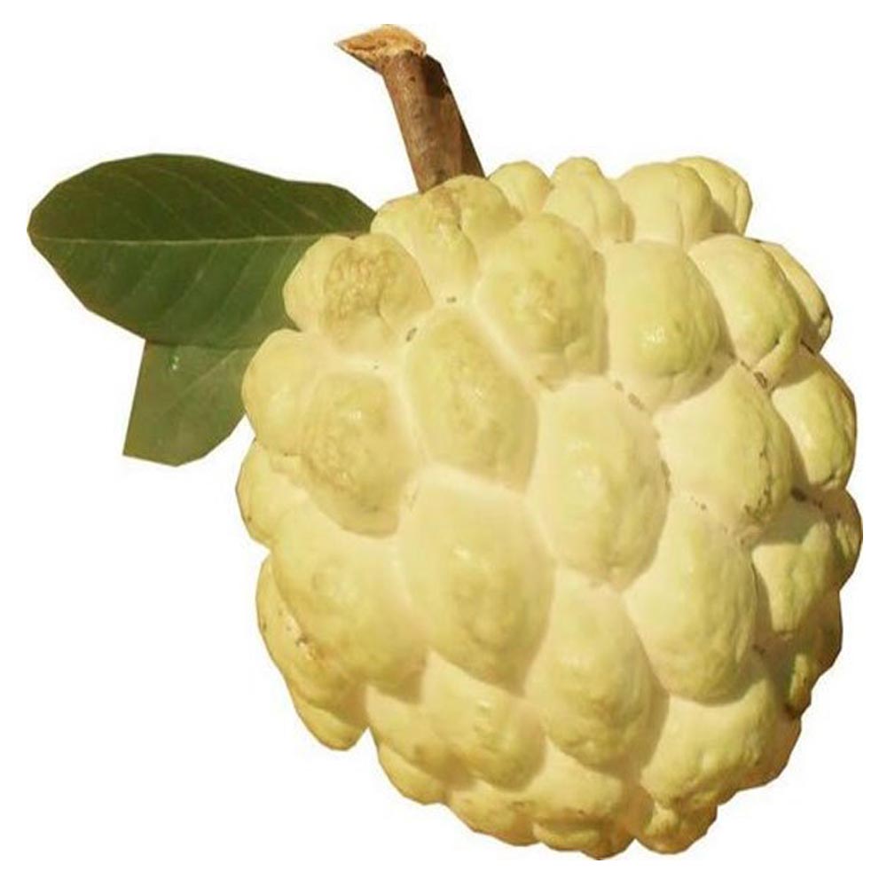 mrfarmer- custard apple golden