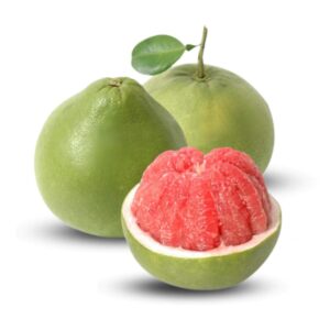 Pomelo Red Plant