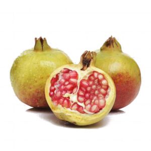 Pomogranate Plant