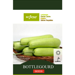 Bottle Gourd Seeds