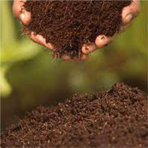 Cocopeat