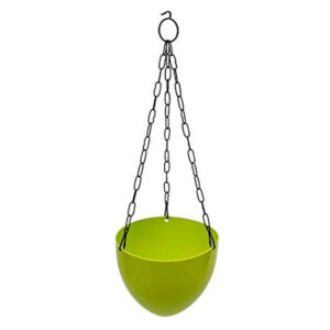Green Hanging Basket