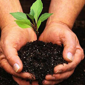 Protomeal (Organic Manure)