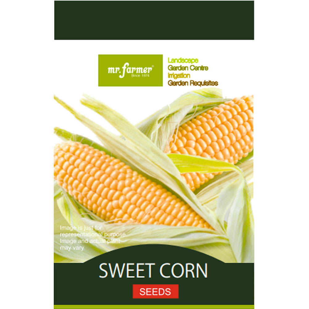 sweet corn