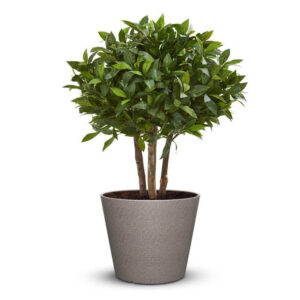 Plastic Pot Round -Textured Finish