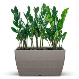 Plastic Pot Rectangular B - Textured Finish