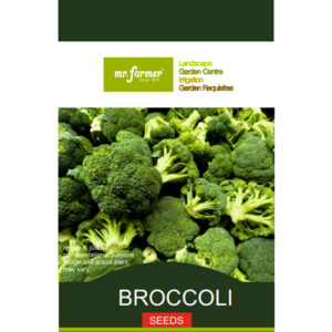 Broccoli Seeds