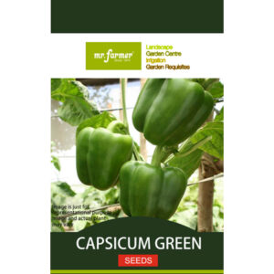 Capsicum Seeds