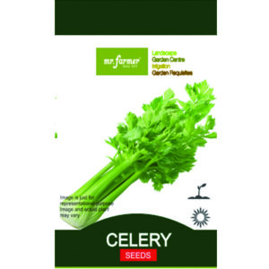 Celery Seeds