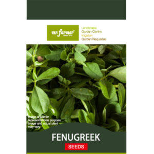 Fenugreek Seeds
