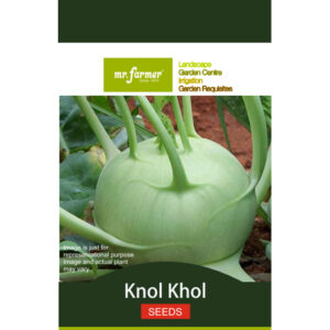 Knol Khol Seeds