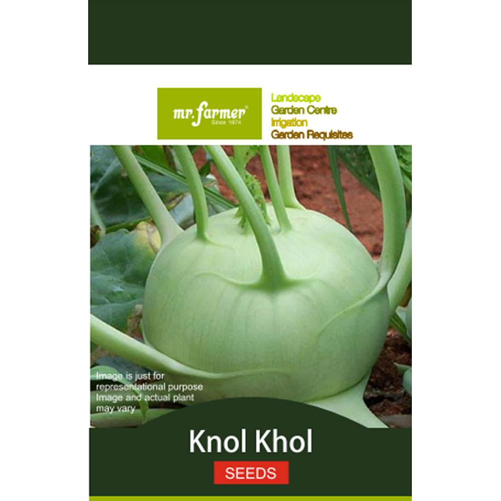 knol khol