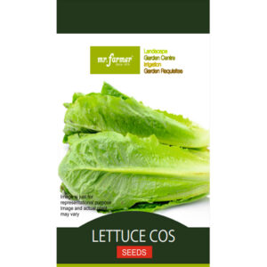 Lettuce Cos Seeds