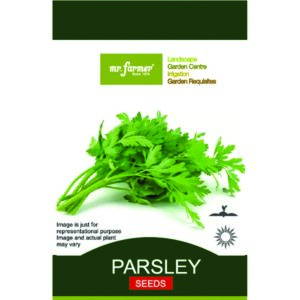 Parsley Seeds