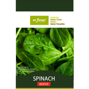 Spinach Seeds