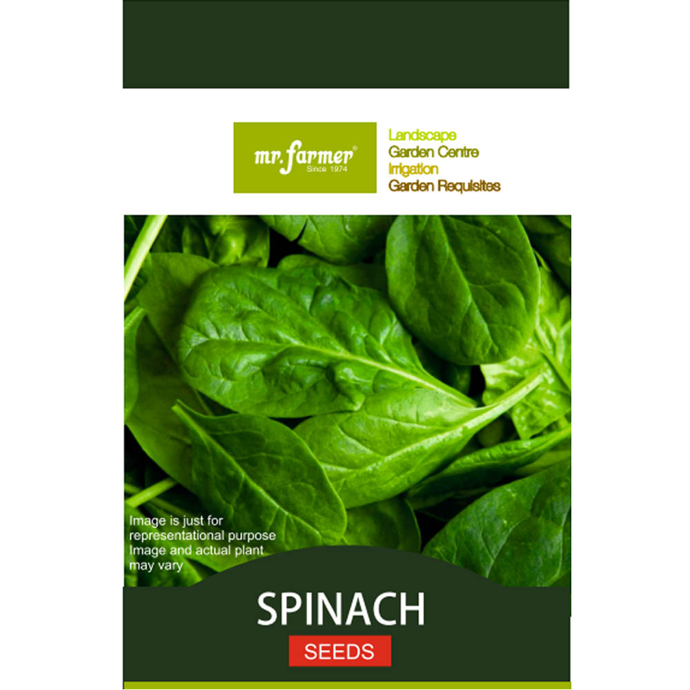 spinach