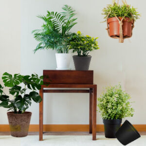 Pots & Planters